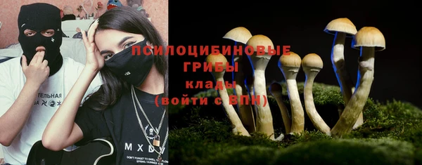 гидропоника Покачи