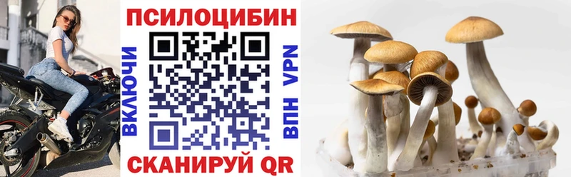 Галлюциногенные грибы Magic Shrooms  закладка  Сертолово 