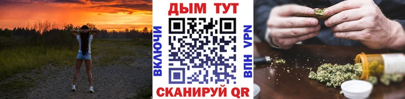 где найти   Сертолово  Канабис гибрид 